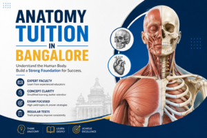 Read more about the article Anatomy Tuition in Bangalore for MBBS, BDS & Nursing Students