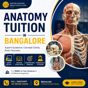 Read more about the article Anatomy Coaching & Tuition in Bangalore for MBBS Students
